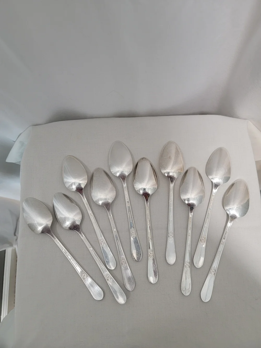 1847 Roger Bros Adoration Silver Plate Dessert Spoon Set - 10 Pieces